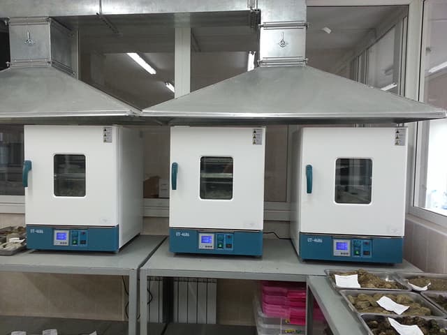 laboratory_5